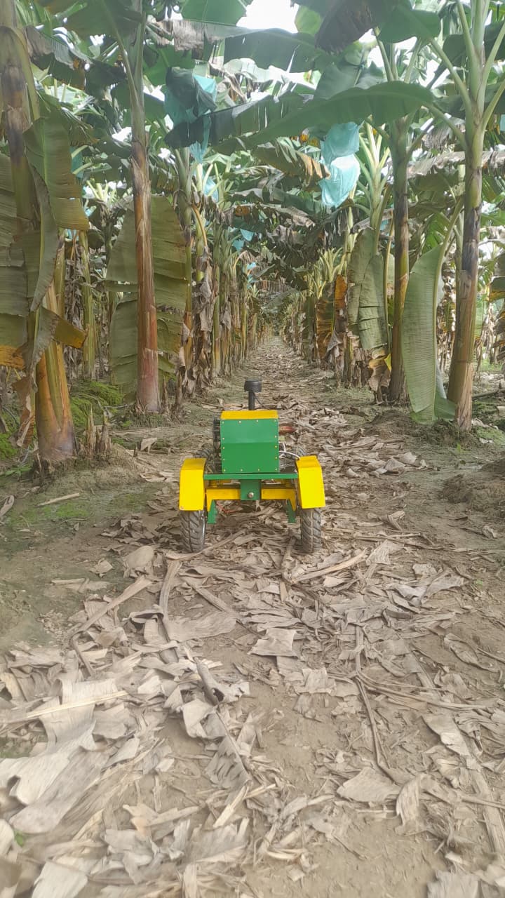 Robot autónomo tipo oruga para el seguimiento de hileras en cultivos de plátano